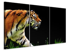 Laden Sie das Bild in den Galerie-Viewer, Leinwandbild 3-teilig Imposanter Tiger