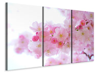 Leinwandbild 3-teilig Japanische Kirschblüte XL