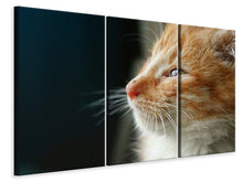 Laden Sie das Bild in den Galerie-Viewer, Leinwandbild 3-teilig Kitten Nase