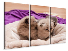 Laden Sie das Bild in den Galerie-Viewer, Leinwandbild 3-teilig Kitten Trio zum Verlieben
