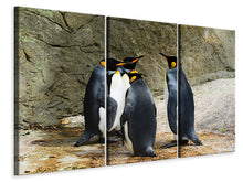 Laden Sie das Bild in den Galerie-Viewer, Leinwandbild 3-teilig König Pinguine