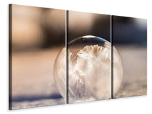 Laden Sie das Bild in den Galerie-Viewer, Leinwandbild 3-teilig Kunstvolle Blase