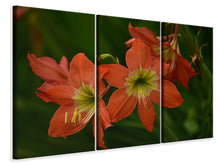 Laden Sie das Bild in den Galerie-Viewer, Leinwandbild 3-teilig Lilien in orange