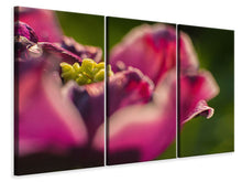 Laden Sie das Bild in den Galerie-Viewer, Leinwandbild 3-teilig Makro Tulpe in rot