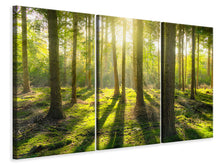 Laden Sie das Bild in den Galerie-Viewer, Leinwandbild 3-teilig Mitten im Wald