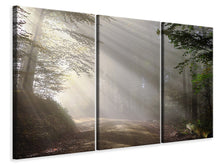 Laden Sie das Bild in den Galerie-Viewer, Leinwandbild 3-teilig Mystisches Licht im Wald