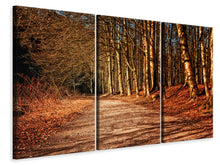 Laden Sie das Bild in den Galerie-Viewer, Leinwandbild 3-teilig Natur im Herbst