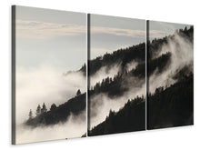 Laden Sie das Bild in den Galerie-Viewer, Leinwandbild 3-teilig Nebel in den Wälder