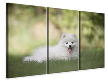 Laden Sie das Bild in den Galerie-Viewer, Leinwandbild 3-teilig Niedliche Spitz Welpe
