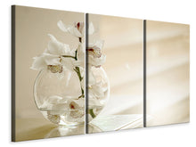 Laden Sie das Bild in den Galerie-Viewer, Leinwandbild 3-teilig Orchidee im Glas