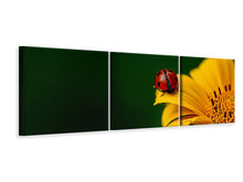 Laden Sie das Bild in den Galerie-Viewer, Panorama Leinwandbild 3-teilig Marienkäfer auf der Sonnenblume
