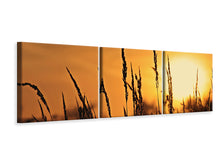 Laden Sie das Bild in den Galerie-Viewer, Panorama Leinwandbild 3-teilig Sonnenaufgang auf dem Feld
