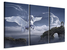 Laden Sie das Bild in den Galerie-Viewer, Leinwandbild 3-teilig Pegasus