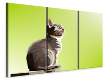 Laden Sie das Bild in den Galerie-Viewer, Leinwandbild 3-teilig Pop Art Katze XL