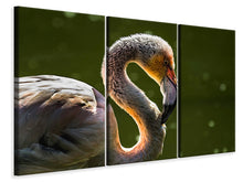 Laden Sie das Bild in den Galerie-Viewer, Leinwandbild 3-teilig Prächtiger Vogel