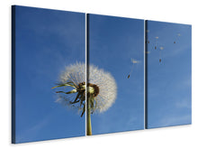 Laden Sie das Bild in den Galerie-Viewer, Leinwandbild 3-teilig Pusteblume - ich wünsch mir was
