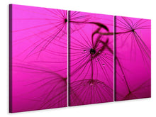 Laden Sie das Bild in den Galerie-Viewer, Leinwandbild 3-teilig Pusteblume in pink
