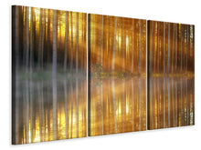 Laden Sie das Bild in den Galerie-Viewer, Leinwandbild 3-teilig Romantische Stimmung im Wald