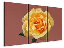 Laden Sie das Bild in den Galerie-Viewer, Leinwandbild 3-teilig Rose in gelb XXL