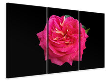 Laden Sie das Bild in den Galerie-Viewer, Leinwandbild 3-teilig Rose in rot XXL