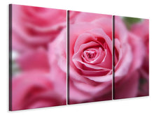 Laden Sie das Bild in den Galerie-Viewer, Leinwandbild 3-teilig Rosen Makro