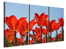 Laden Sie das Bild in den Galerie-Viewer, Leinwandbild 3-teilig Rote Tulpen XL