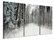 Laden Sie das Bild in den Galerie-Viewer, Leinwandbild 3-teilig Schnee im Wald