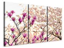 Laden Sie das Bild in den Galerie-Viewer, Leinwandbild 3-teilig Schöne Magnolien XL
