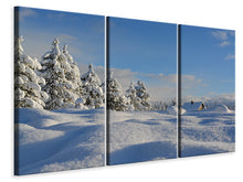 Laden Sie das Bild in den Galerie-Viewer, Leinwandbild 3-teilig Schöne Schnee Landschaft
