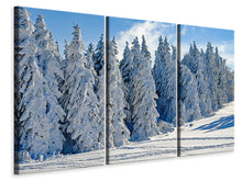 Laden Sie das Bild in den Galerie-Viewer, Leinwandbild 3-teilig Schöne Winterlandschaft