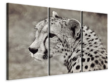 Laden Sie das Bild in den Galerie-Viewer, Leinwandbild 3-teilig Schöner Gepard