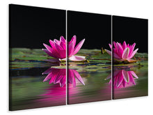 Laden Sie das Bild in den Galerie-Viewer, Leinwandbild 3-teilig Seerosen Duo in pink