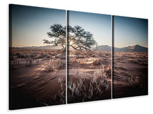 Laden Sie das Bild in den Galerie-Viewer, Leinwandbild 3-teilig Sehnsucht Afrika