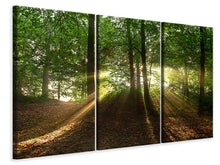 Laden Sie das Bild in den Galerie-Viewer, Leinwandbild 3-teilig Sonne im Wald