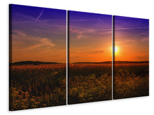 Laden Sie das Bild in den Galerie-Viewer, Leinwandbild 3-teilig Sonnenuntergang am Blumenfeld