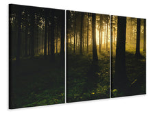 Laden Sie das Bild in den Galerie-Viewer, Leinwandbild 3-teilig Sonnenuntergang im Wald