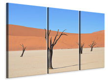 Laden Sie das Bild in den Galerie-Viewer, Leinwandbild 3-teilig Sossusvlei Namibia