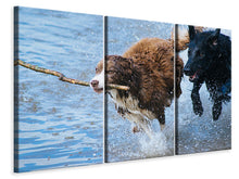 Laden Sie das Bild in den Galerie-Viewer, Leinwandbild 3-teilig Spielende Hunde