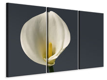 Laden Sie das Bild in den Galerie-Viewer, Leinwandbild 3-teilig Stolze Calla