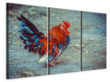 Laden Sie das Bild in den Galerie-Viewer, Leinwandbild 3-teilig Stolzer Hahn