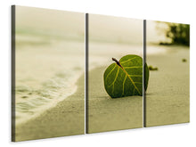 Laden Sie das Bild in den Galerie-Viewer, Leinwandbild 3-teilig Strand-Blatt