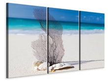 Laden Sie das Bild in den Galerie-Viewer, Leinwandbild 3-teilig Strandkunst