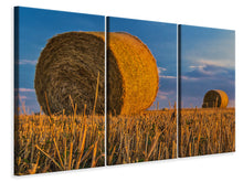 Laden Sie das Bild in den Galerie-Viewer, Leinwandbild 3-teilig Strohballen