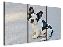 Laden Sie das Bild in den Galerie-Viewer, Leinwandbild 3-teilig Süsse Französische Bulldogge