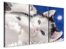 Laden Sie das Bild in den Galerie-Viewer, Leinwandbild 3-teilig Süsses Kitten