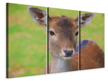 Laden Sie das Bild in den Galerie-Viewer, Leinwandbild 3-teilig Süsses Reh