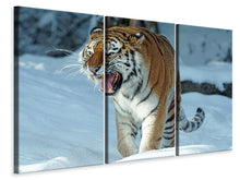 Laden Sie das Bild in den Galerie-Viewer, Leinwandbild 3-teilig Tiger im Schnee 