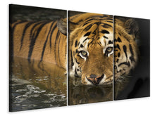 Laden Sie das Bild in den Galerie-Viewer, Leinwandbild 3-teilig Tiger im Wasser