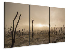 Laden Sie das Bild in den Galerie-Viewer, Leinwandbild 3-teilig Totes Land
