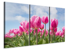 Laden Sie das Bild in den Galerie-Viewer, Leinwandbild 3-teilig Tulpenfeld in rosa